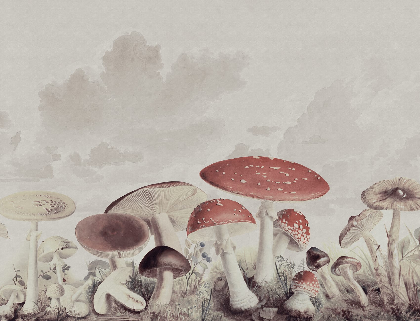 Hang with Mushrooms