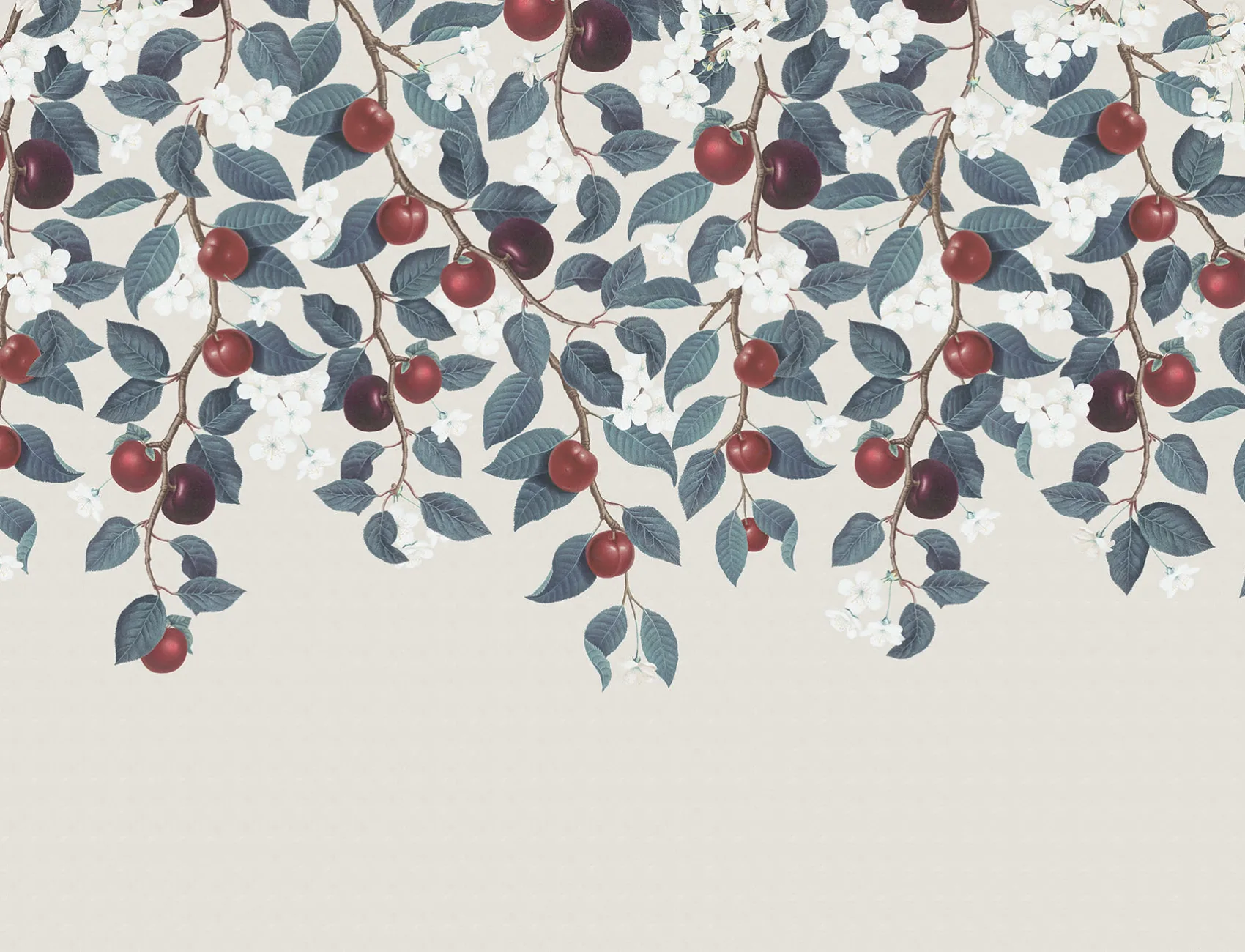 Jolie illustration vintage