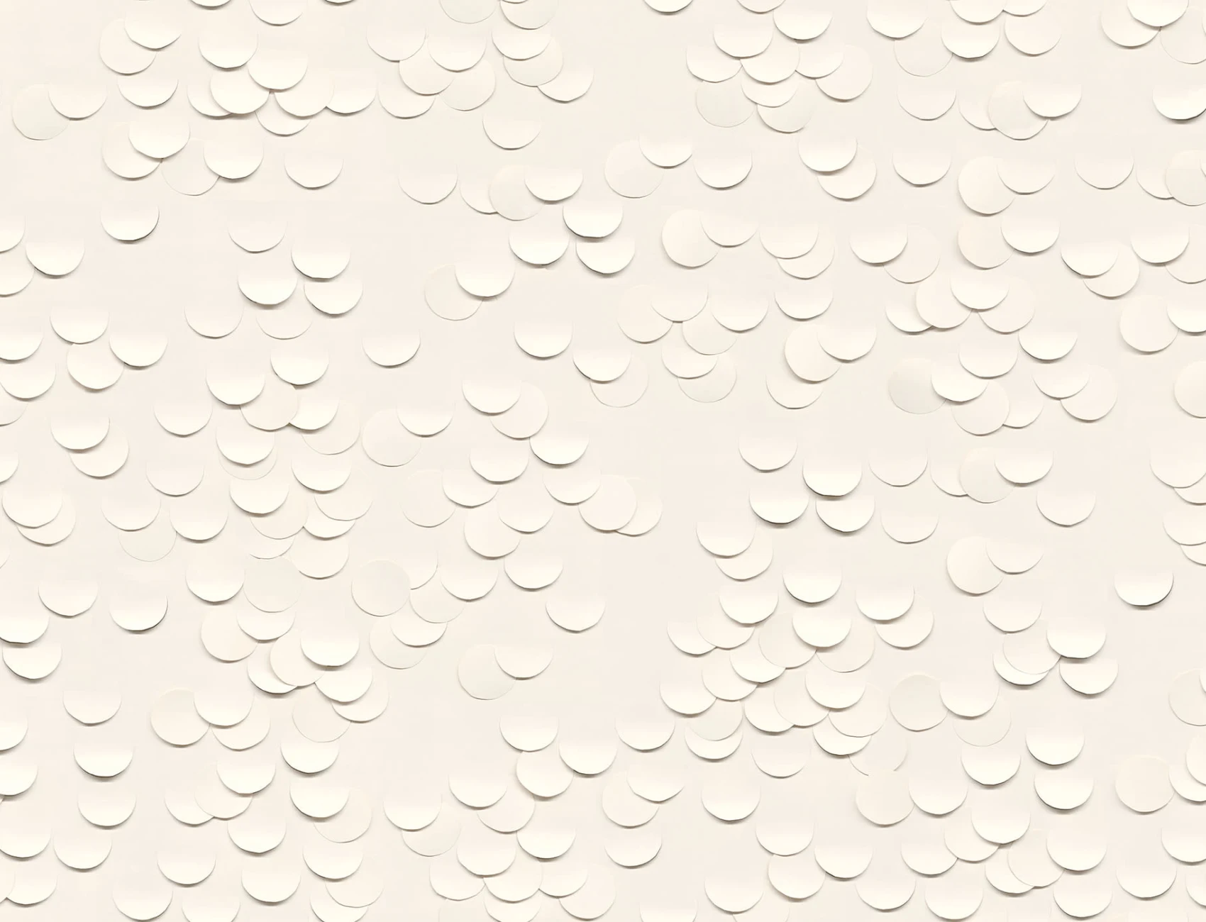 Paper Cut Design