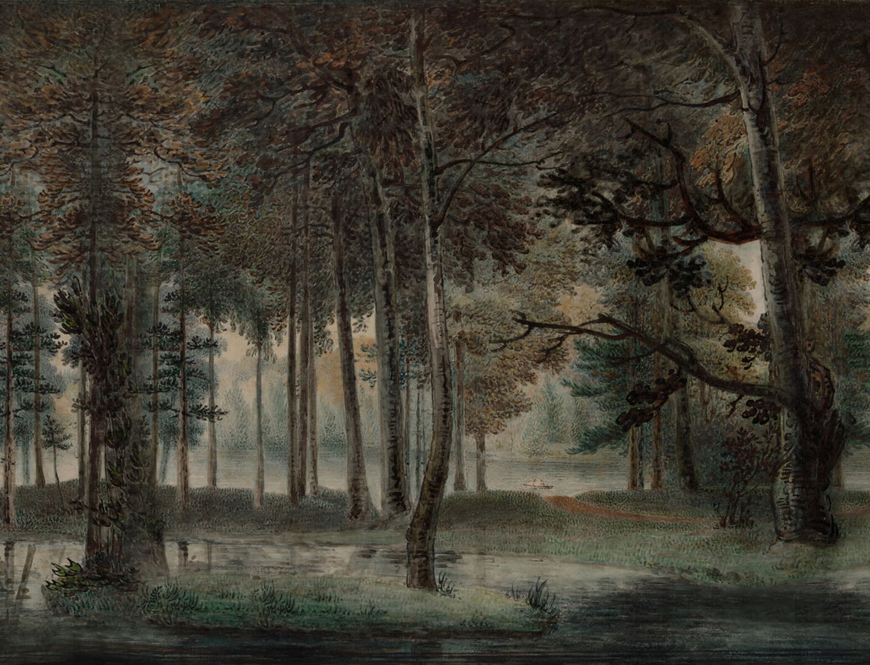 Majestic Forest