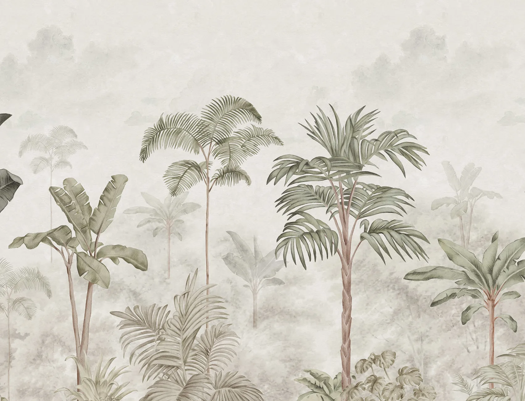 Calming Jungle view