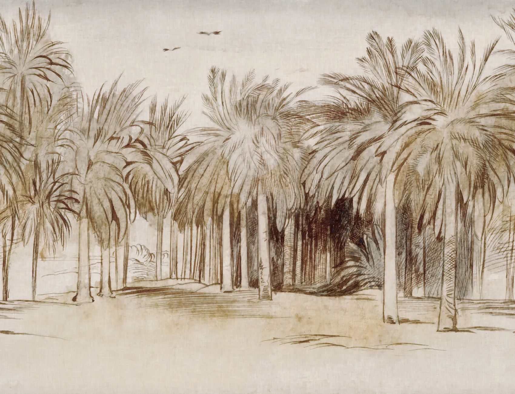 Alluring Oasis