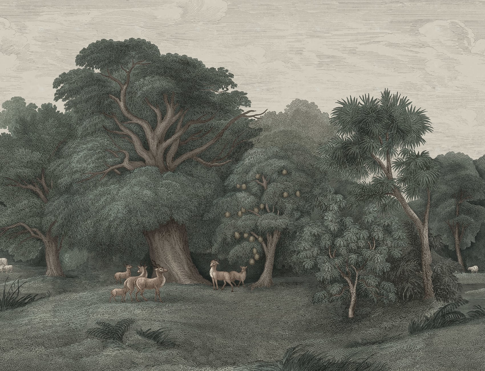 Évasion tropicale