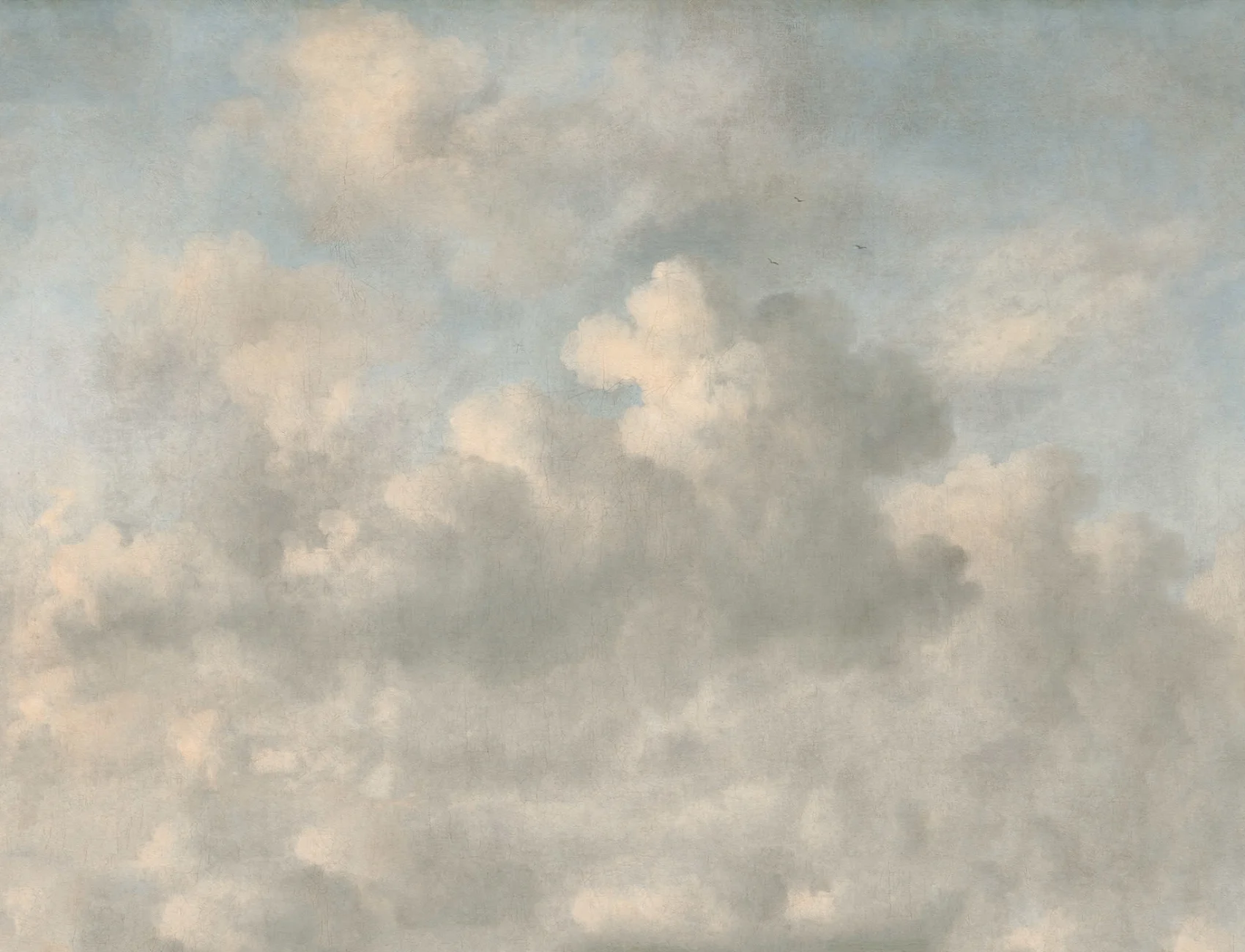Poetic Skies