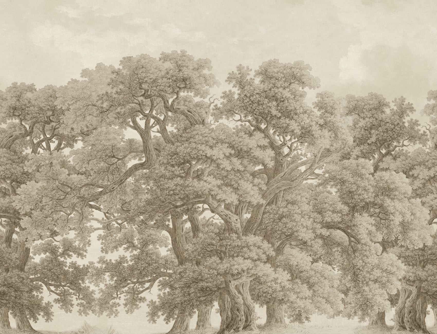 Grand Oaks