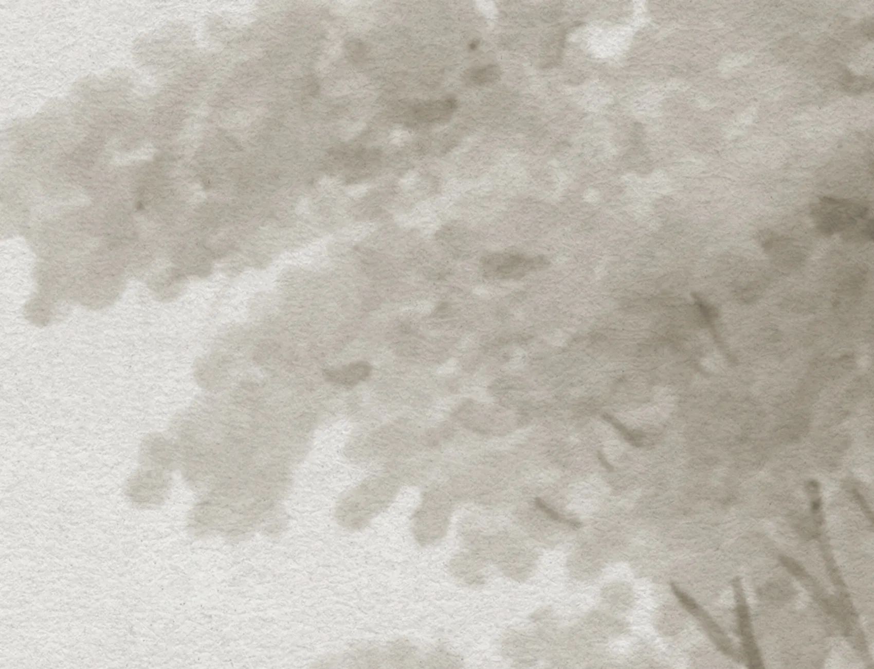 Scandinavian Forest