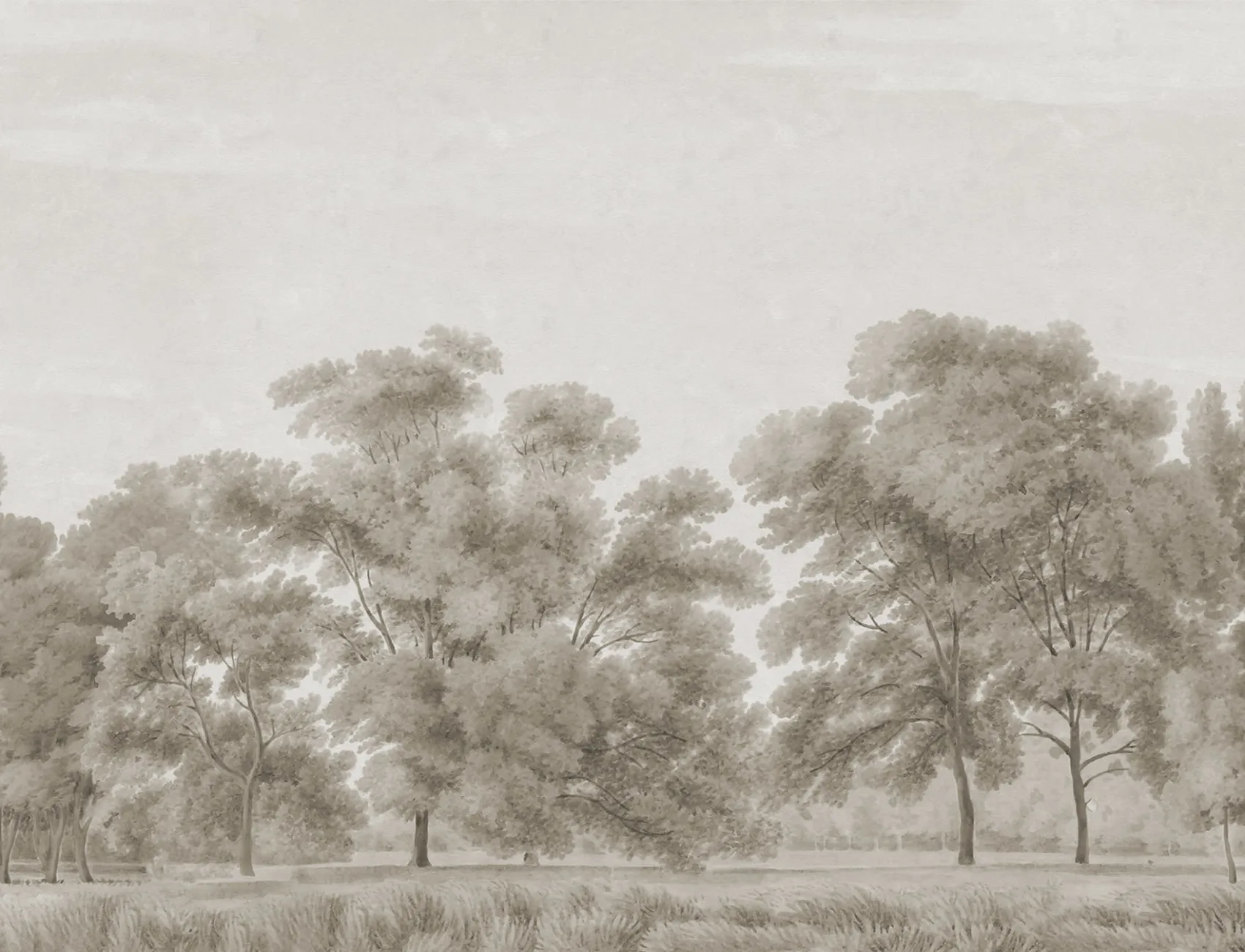 Scandinavian Forest