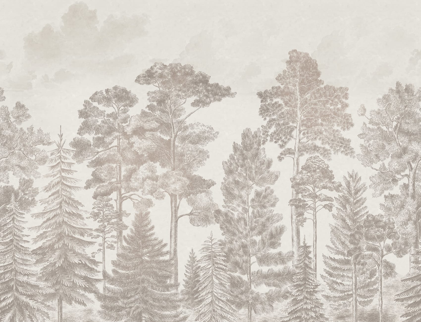 A Soft Scandinavian Bellewood