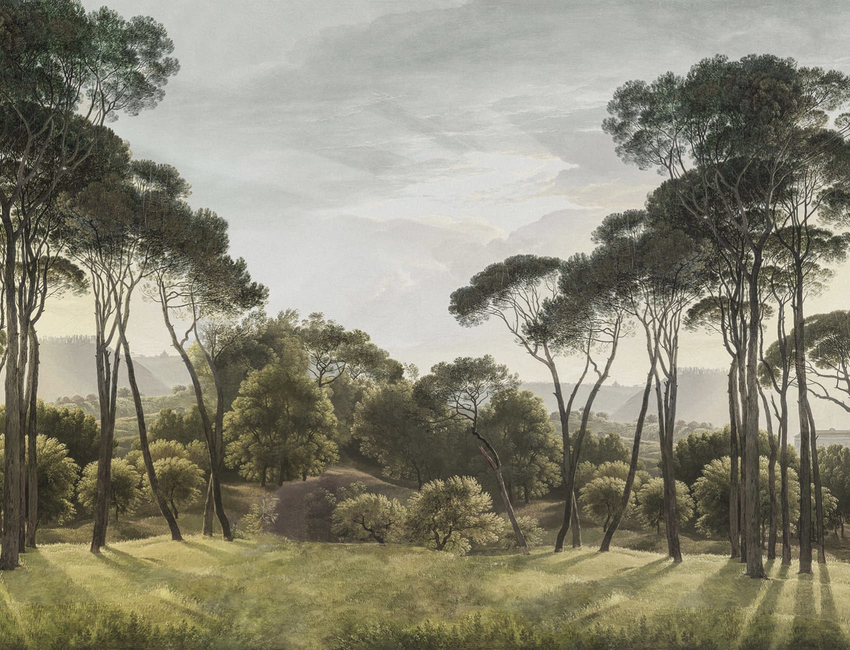 Tranquil Pine Glade