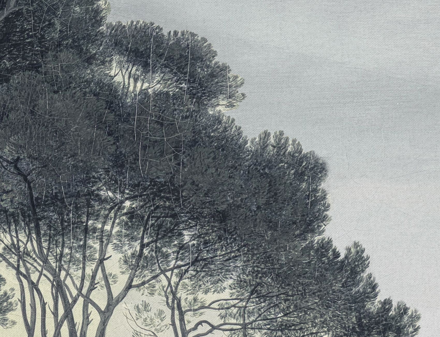 Elegant Pines