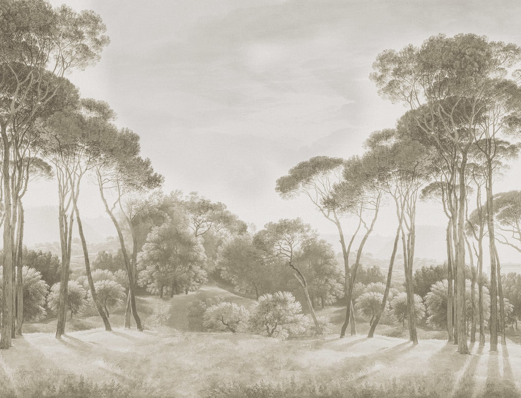 Élégantes silhouettes