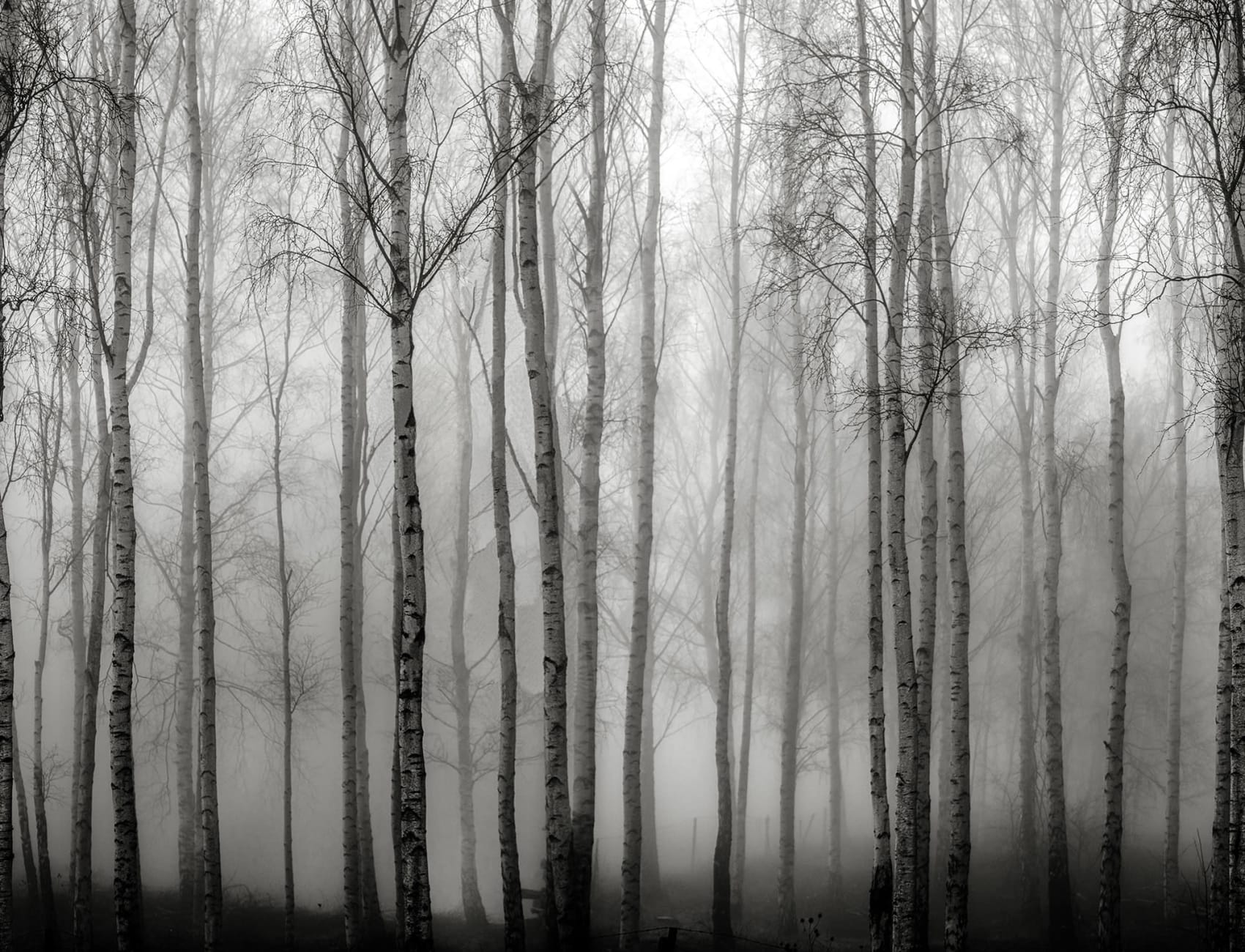 Crépuscule mystique