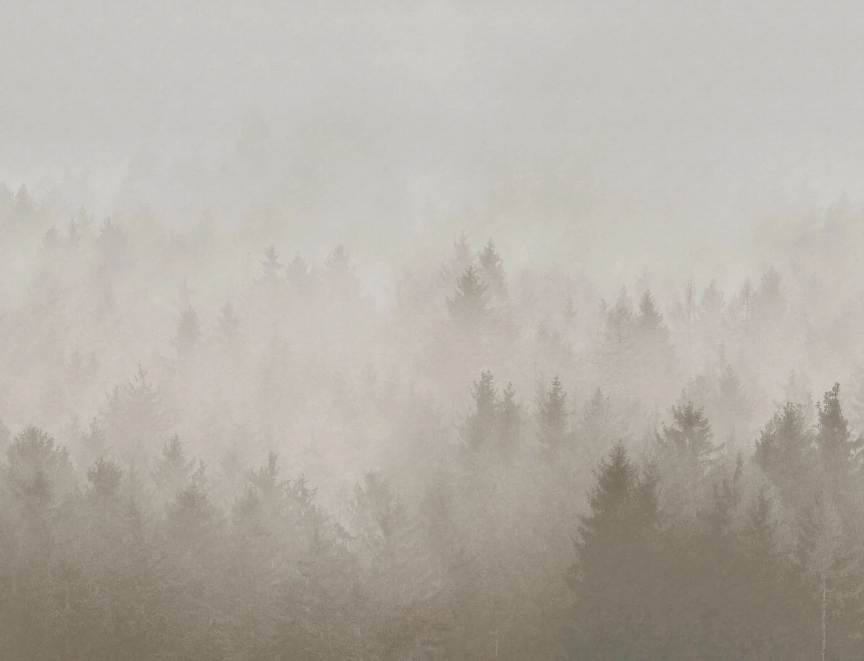 Dichter mystischer Wald