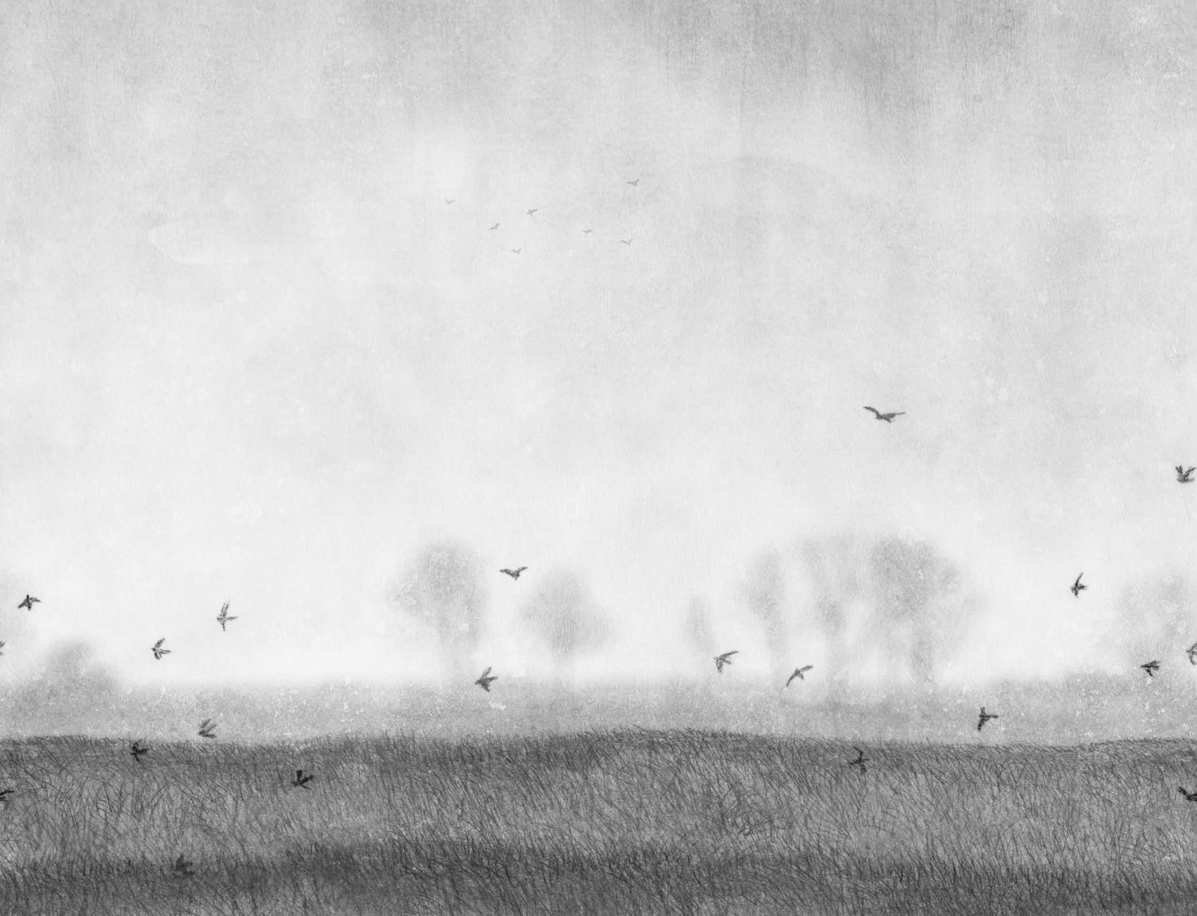 Birdscape Reimagined