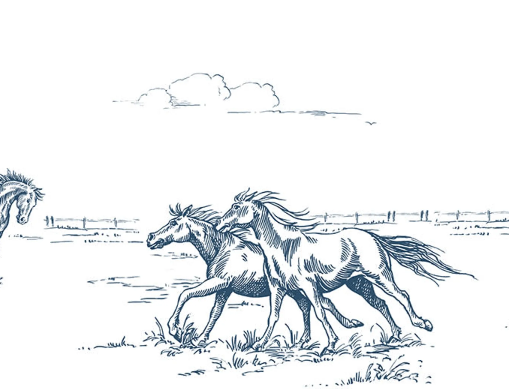 Galop en bleu