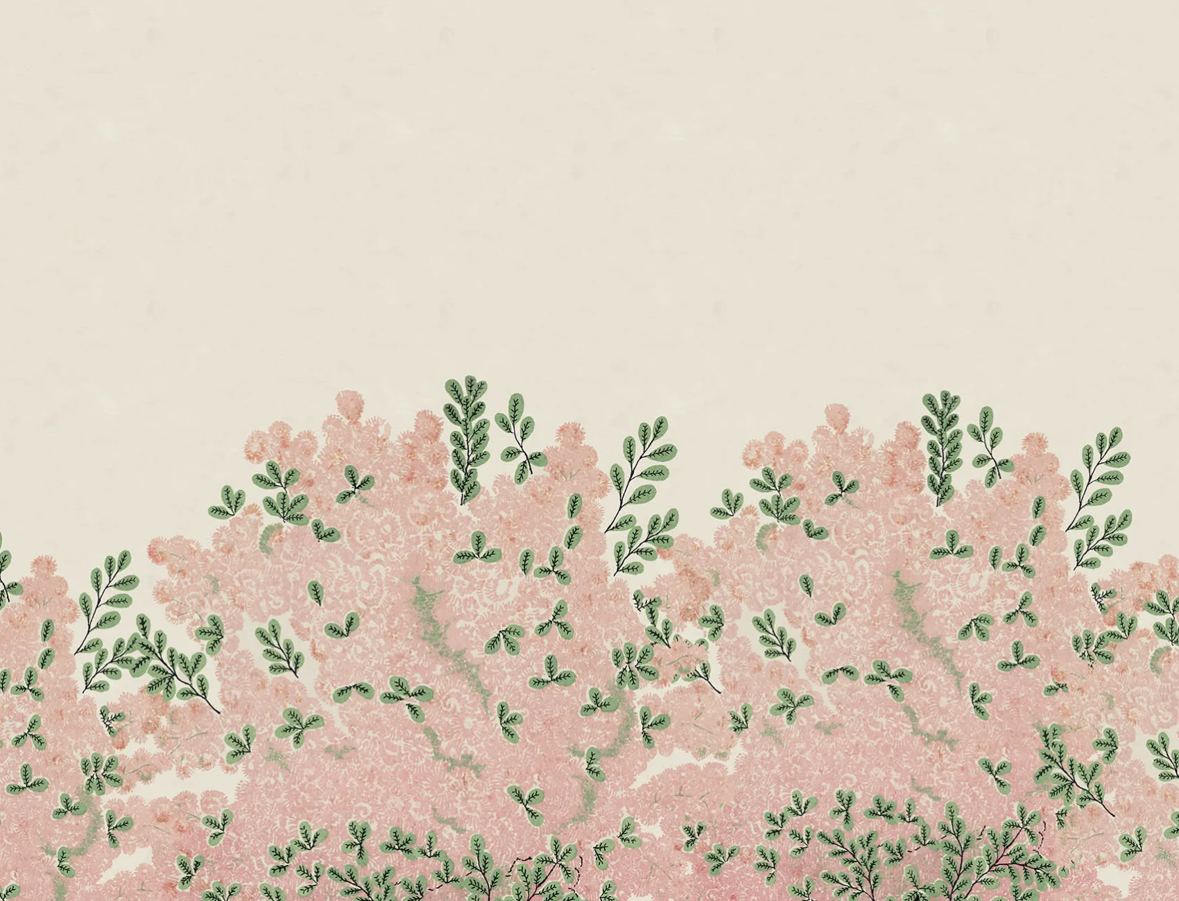 Delicadas flores rosas