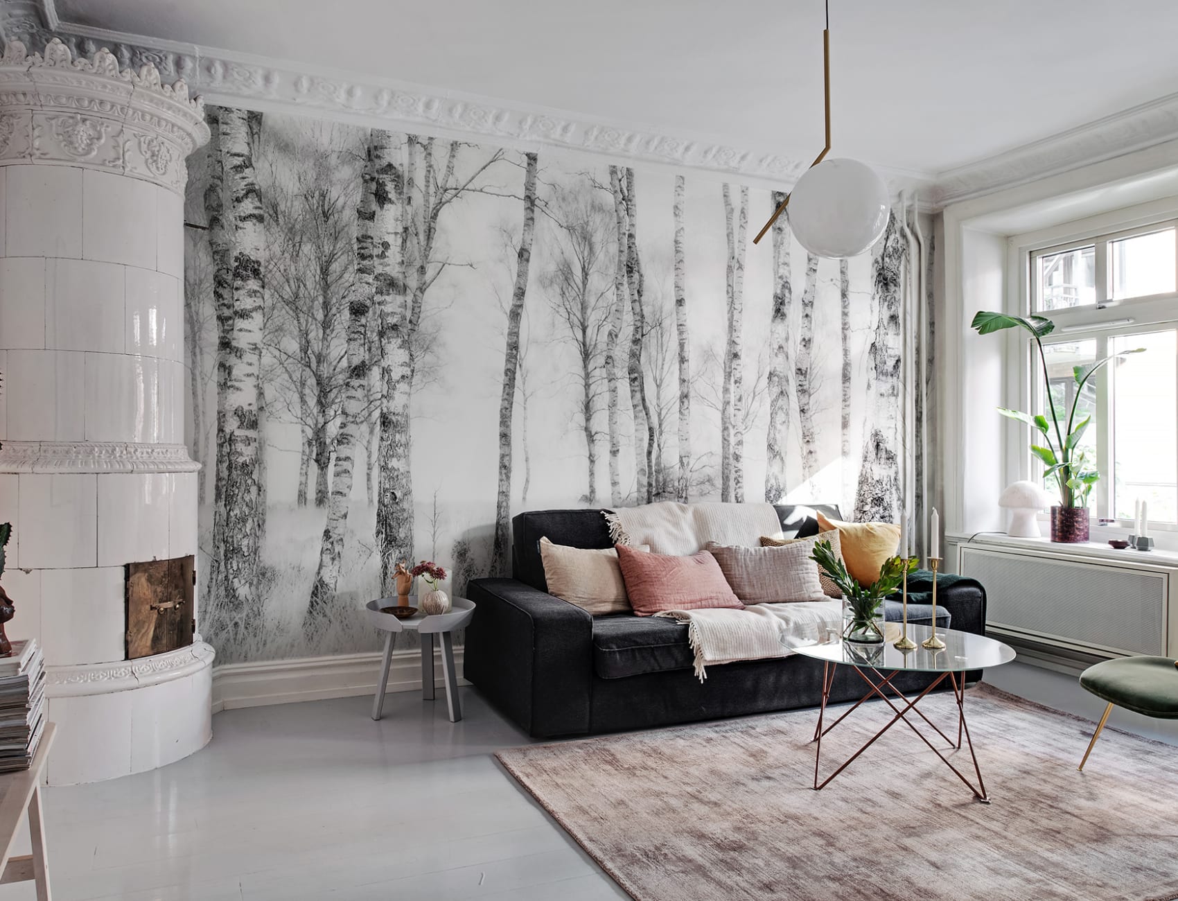 Birch Trees