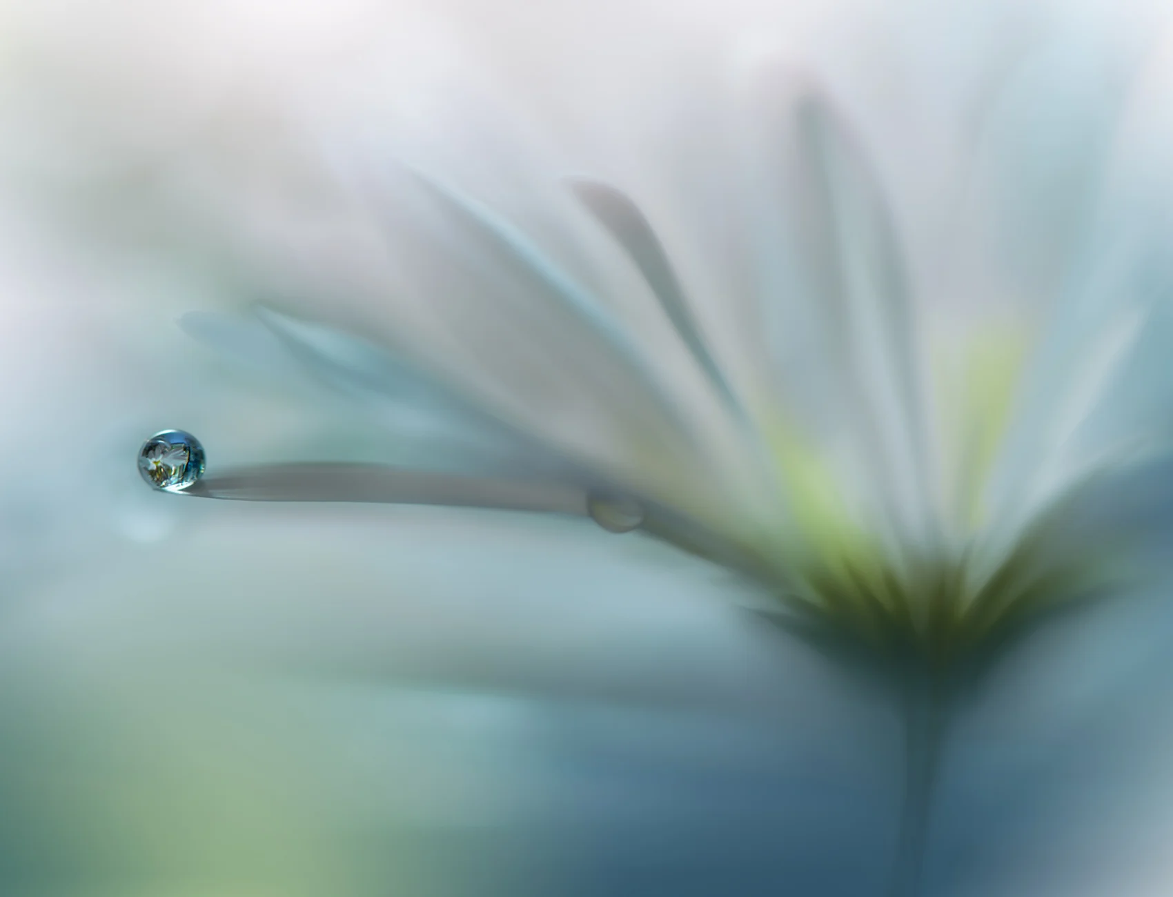 Raindrop