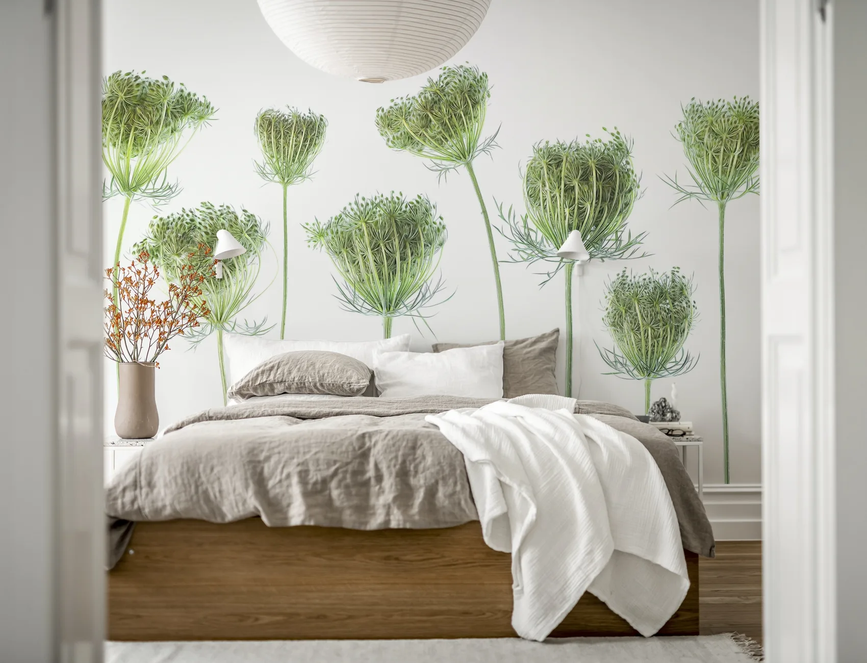 Wild Carrot