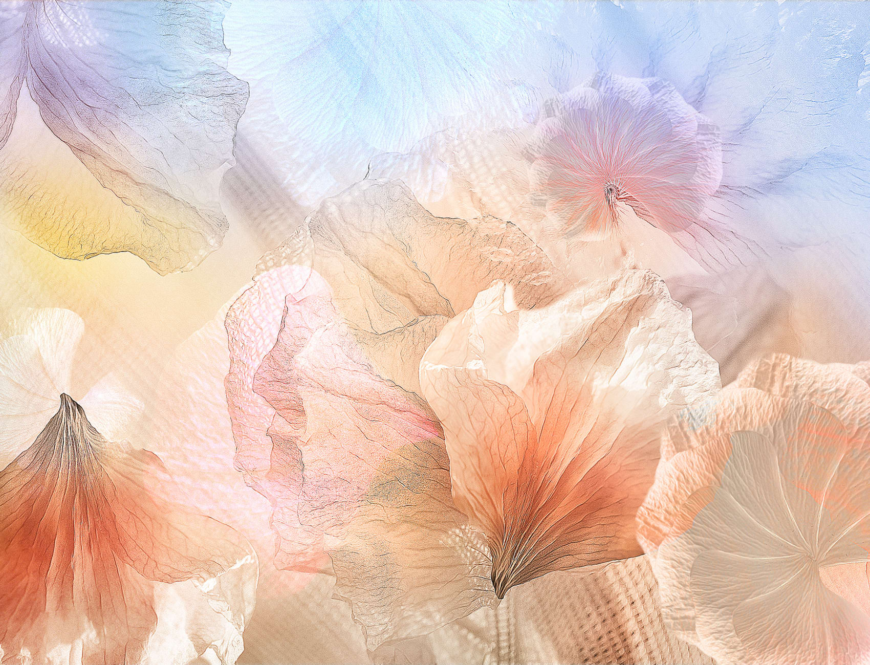 Pastel Petals