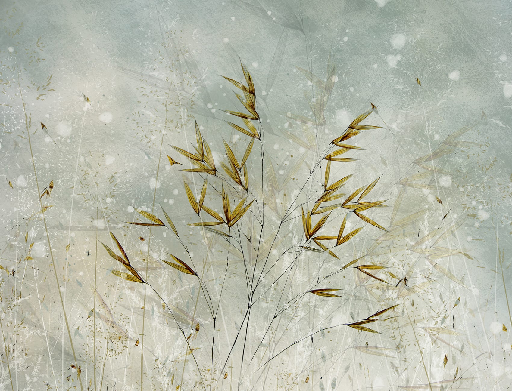 Golden Grain