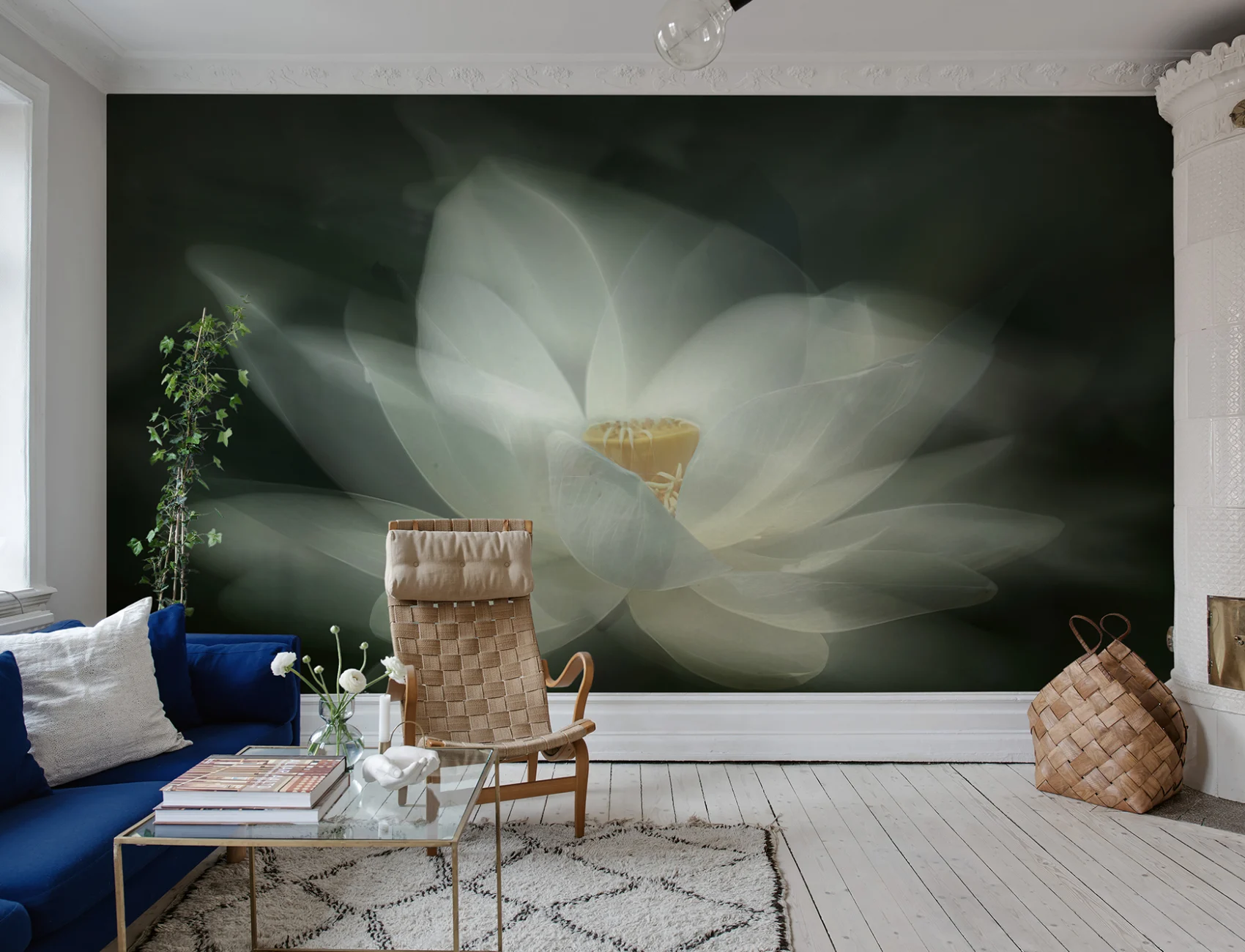 White Waterlily