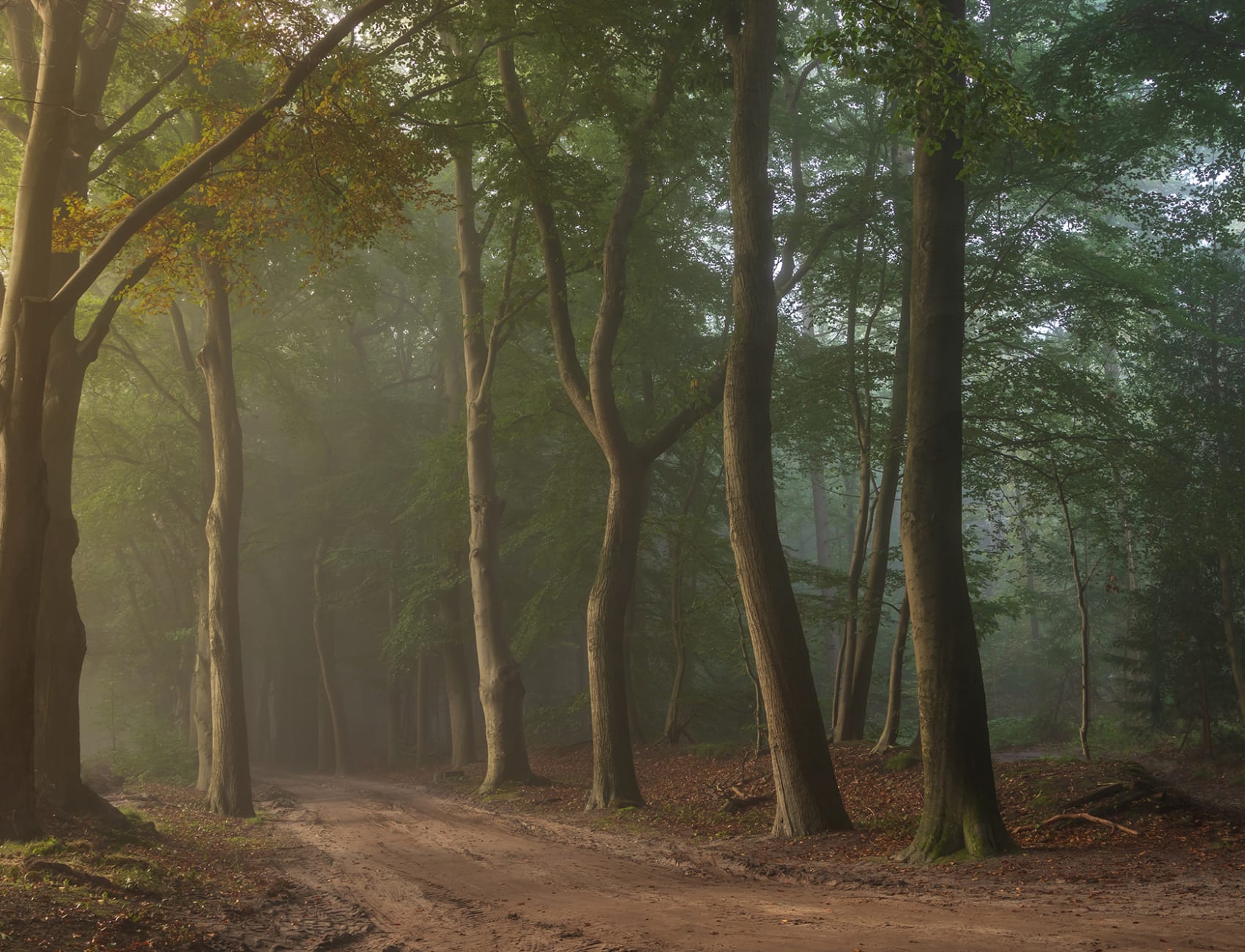 Secret Road