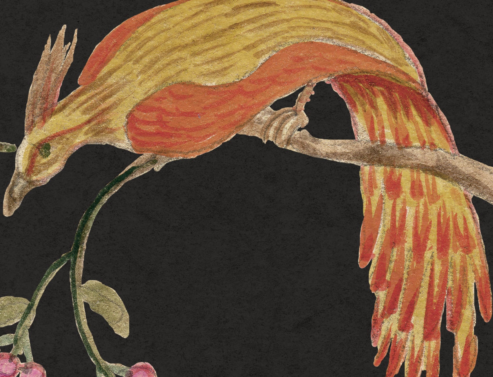 Songbirds, Midnight