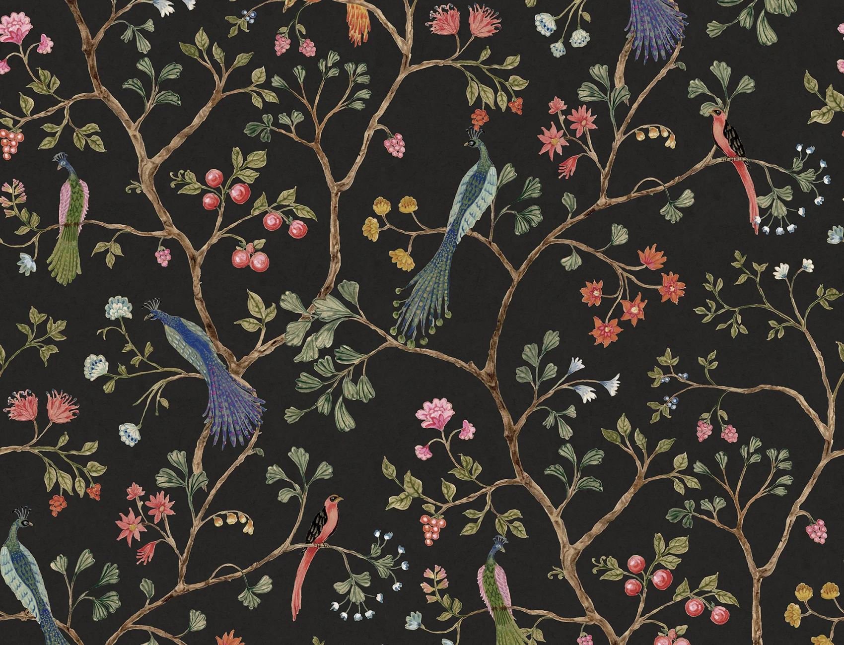 Songbirds, Midnight