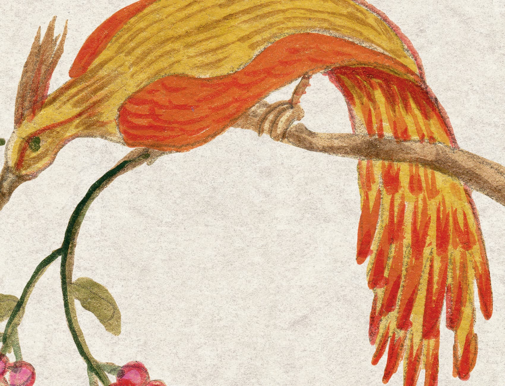 Songbirds, Pearl
