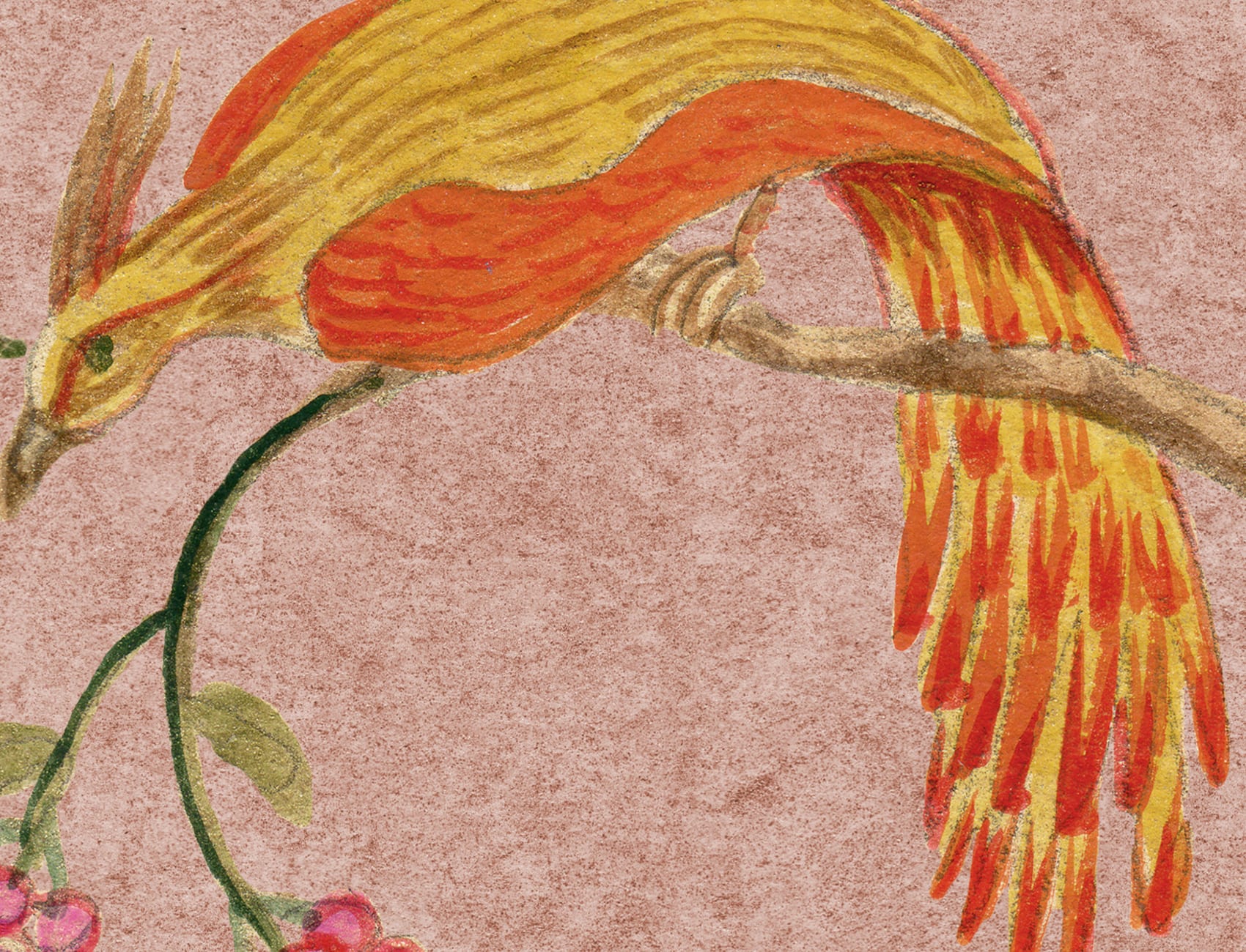 Songbirds, Pink