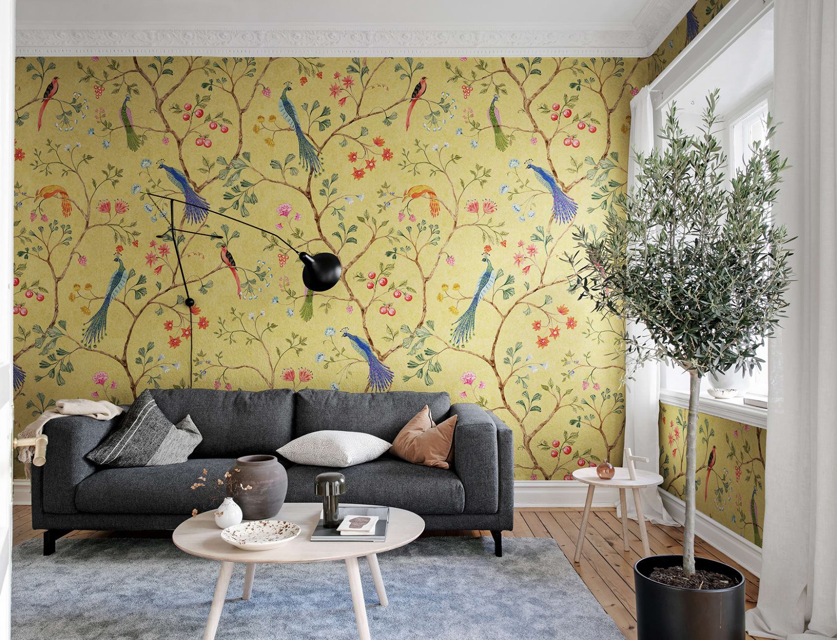Songbirds, Saffron