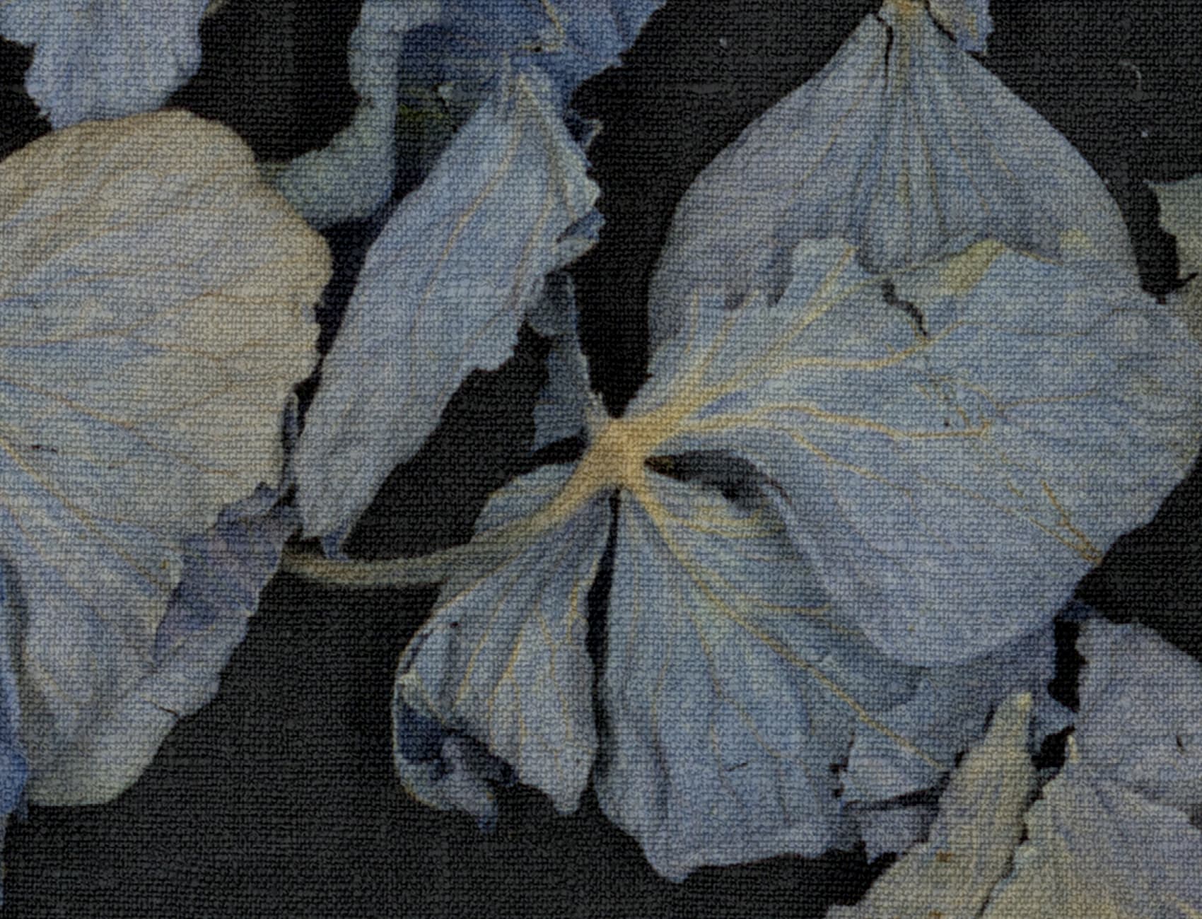 Fragile Beauty, Dark Blue