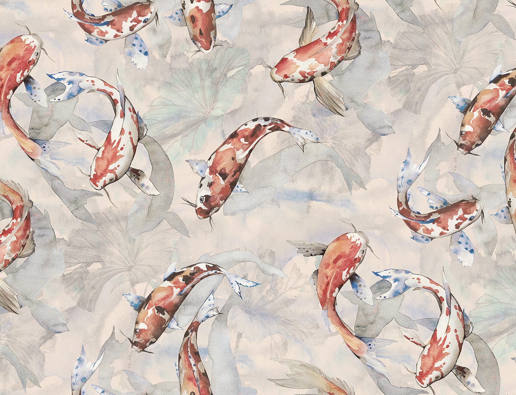 Koi, Coral