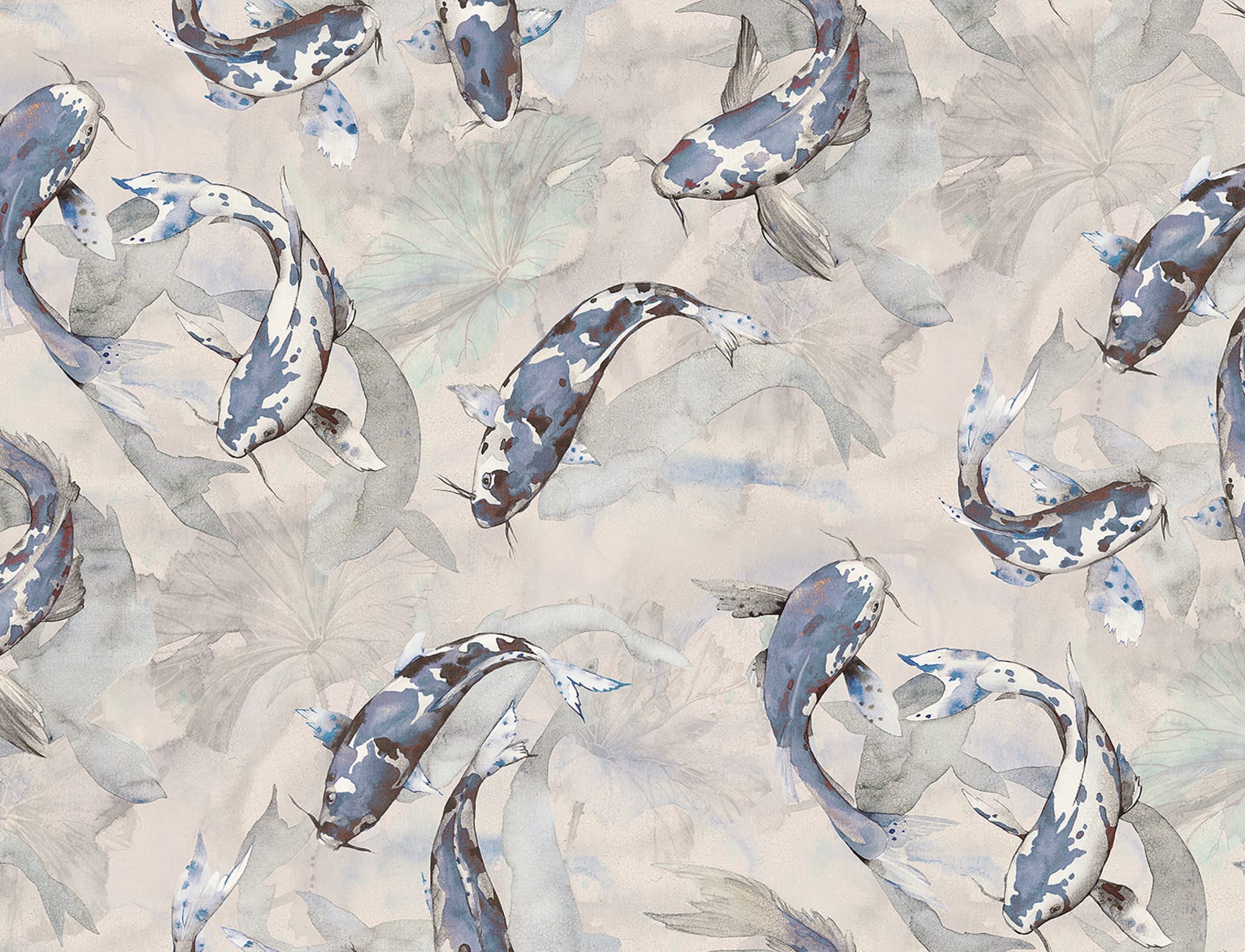 Koi, Blue