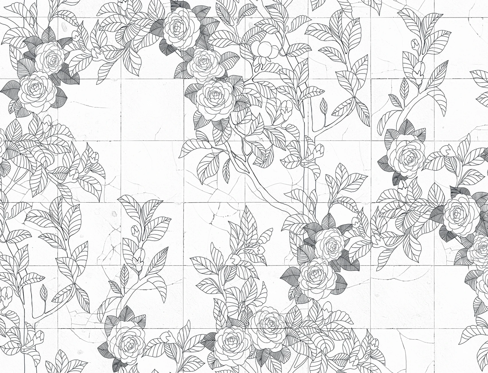 Rose Tiles, Graphite