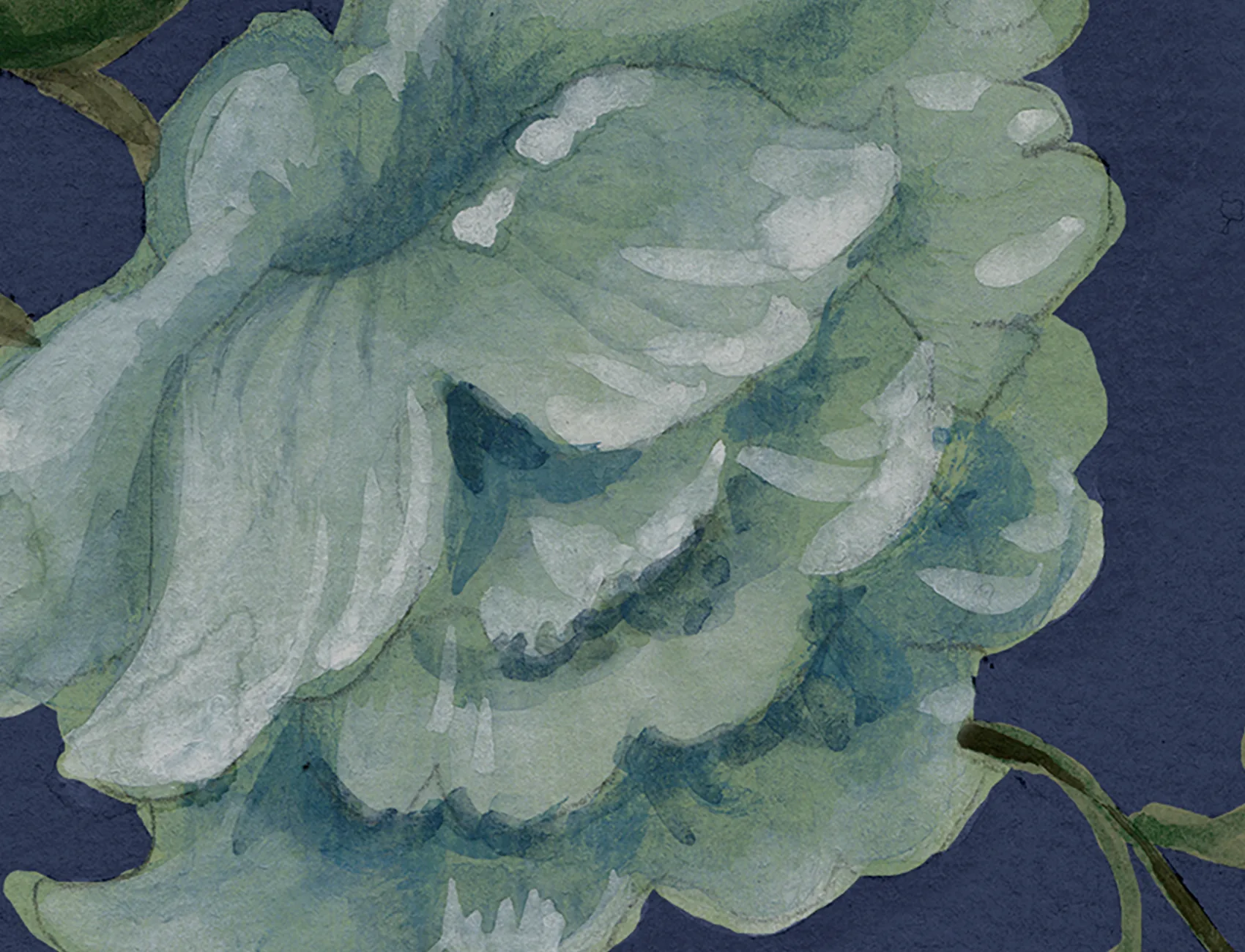 Grandiflora, Blue