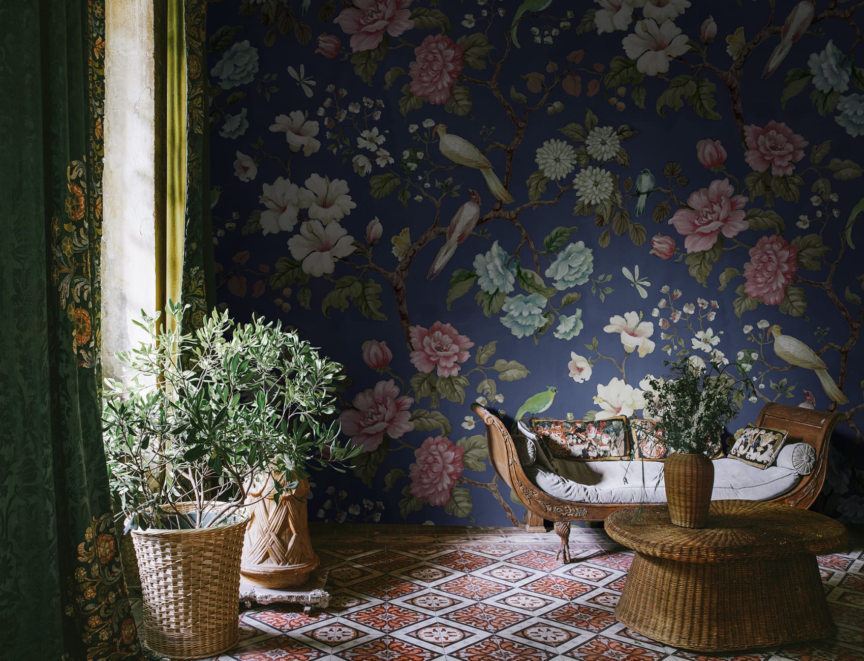 Grandiflora, Blue