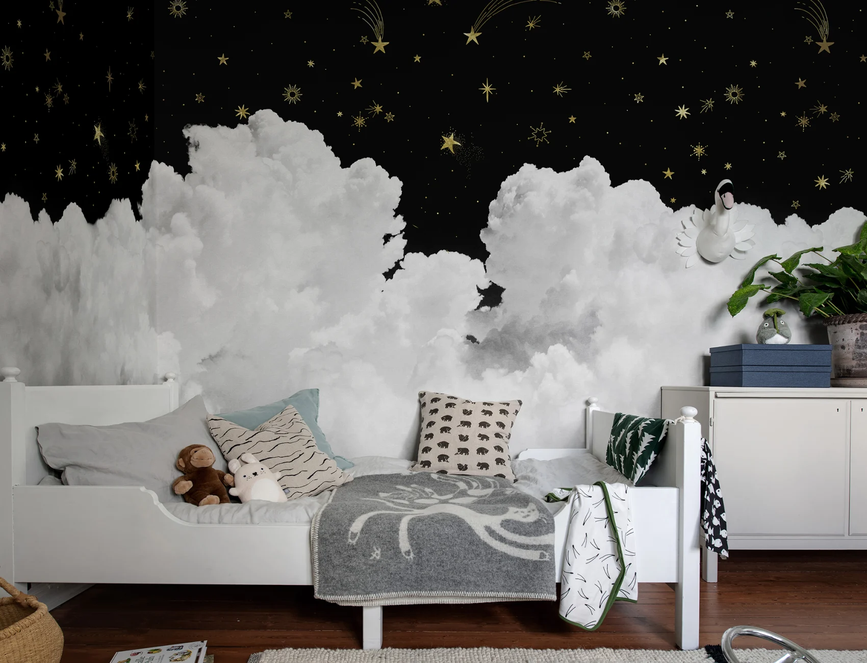 Star Cloud Night