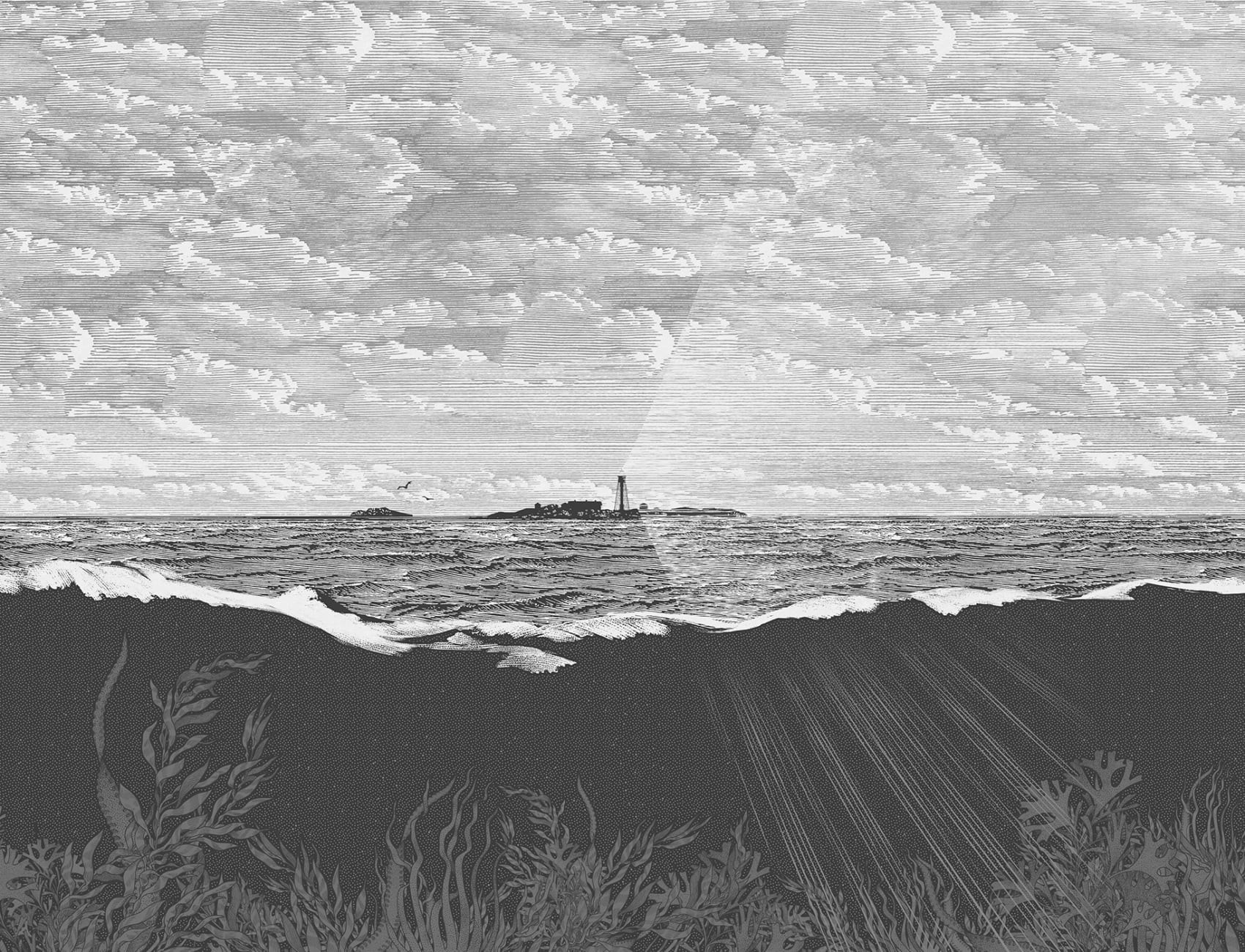 Guiding Light, Graphite	