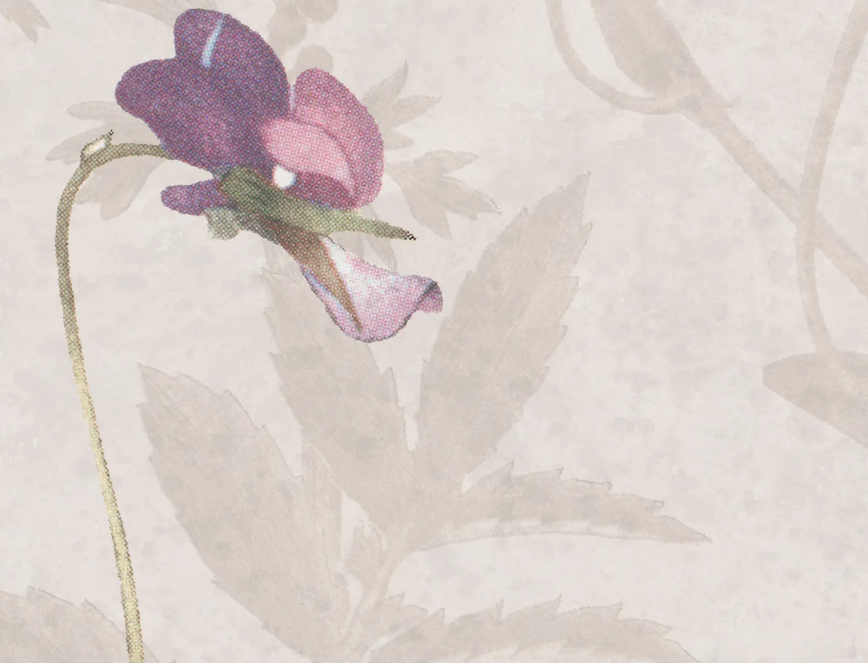 Stormy Meadow, Sand	