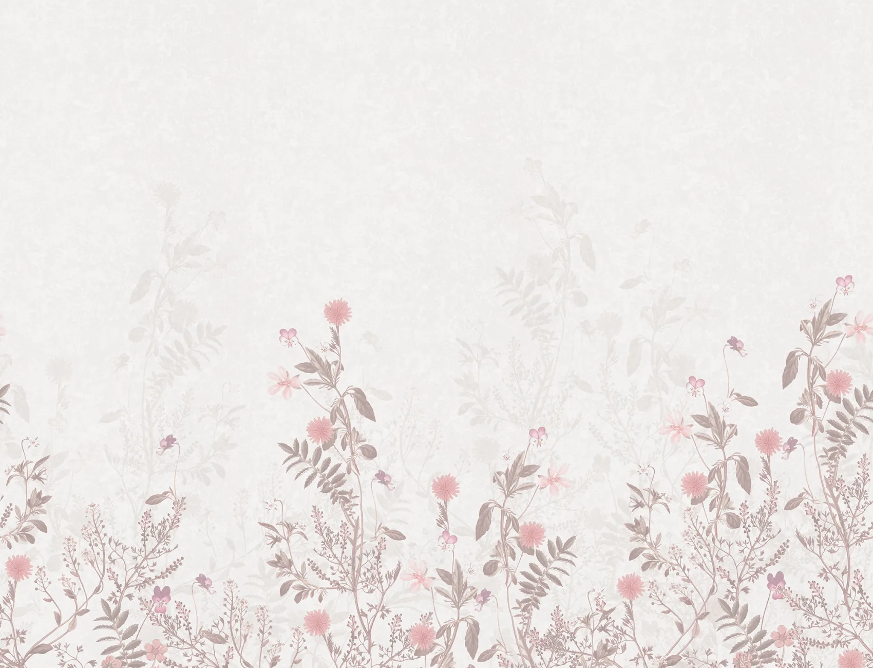 Stormy Meadow, Dusty Pink	