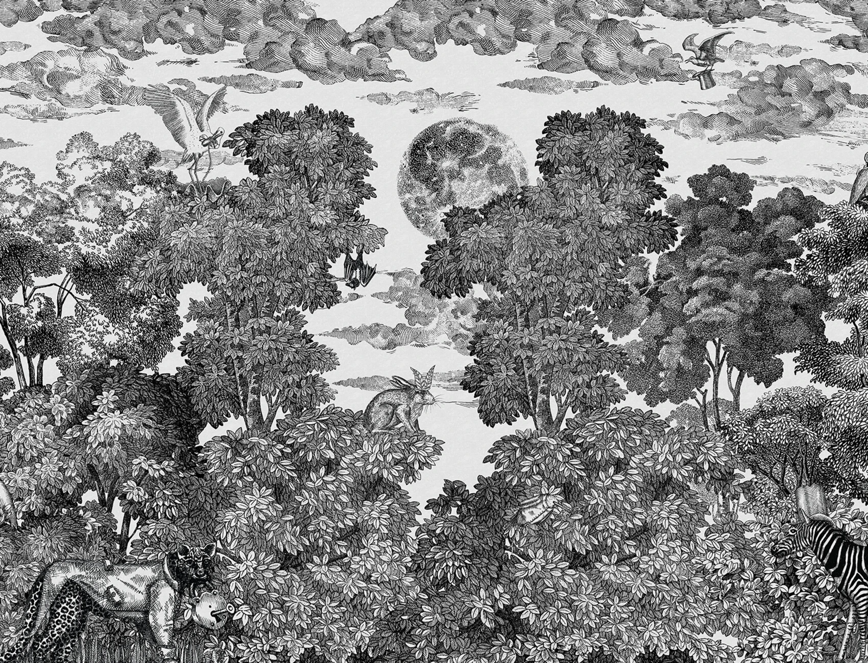 Bellewood Under The Moon, Graphite