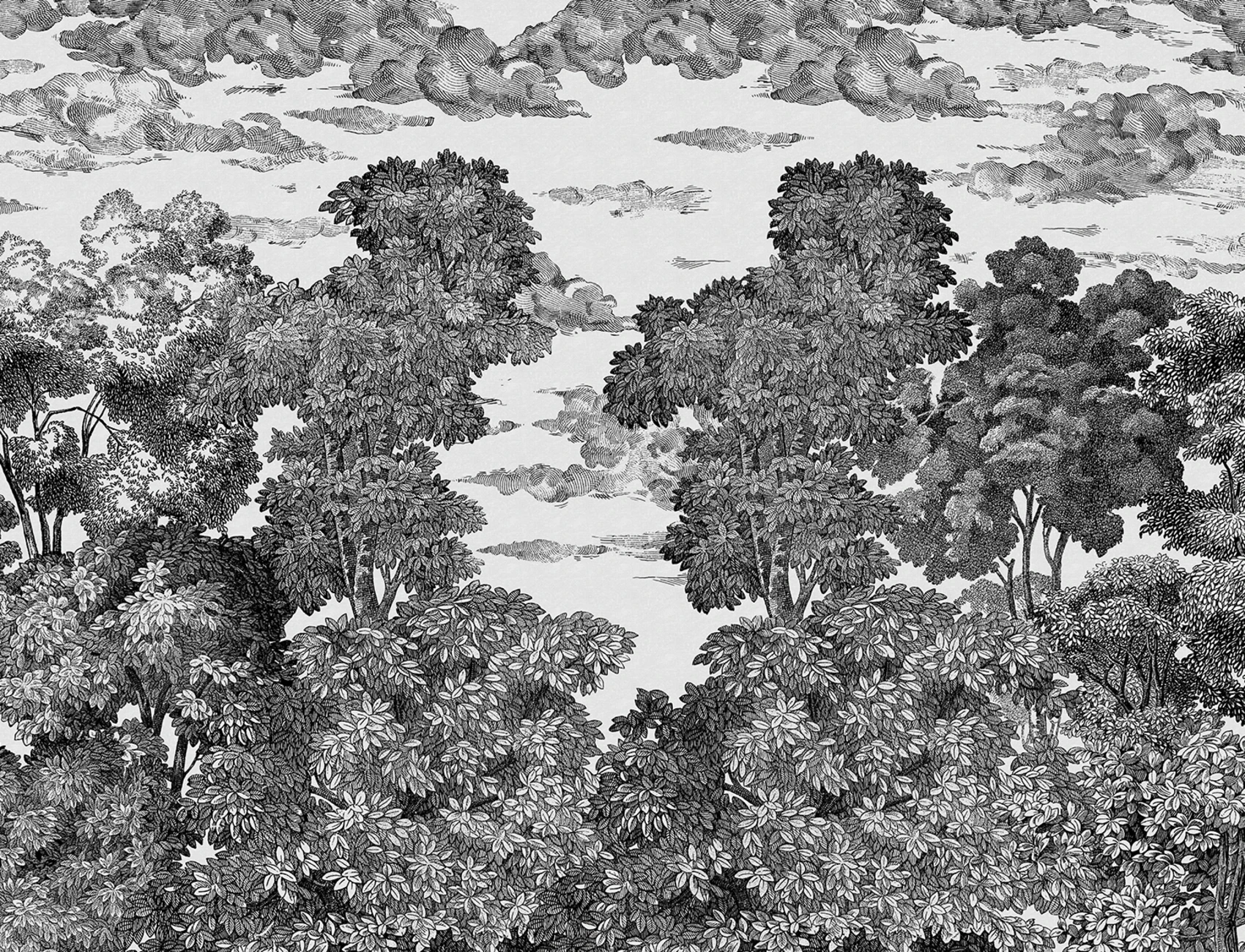 Bellewood Under The Clouds, Graphite