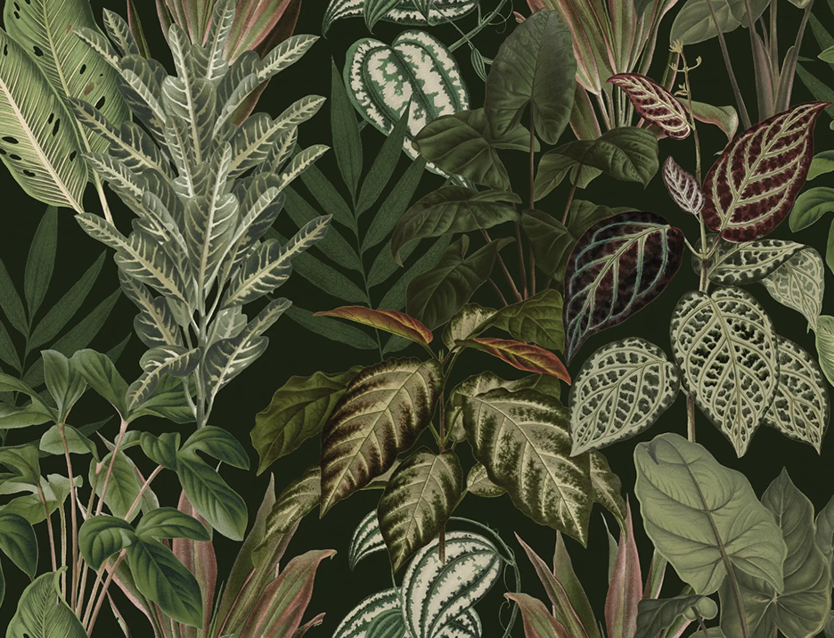 Mischievous Jungle, Lush