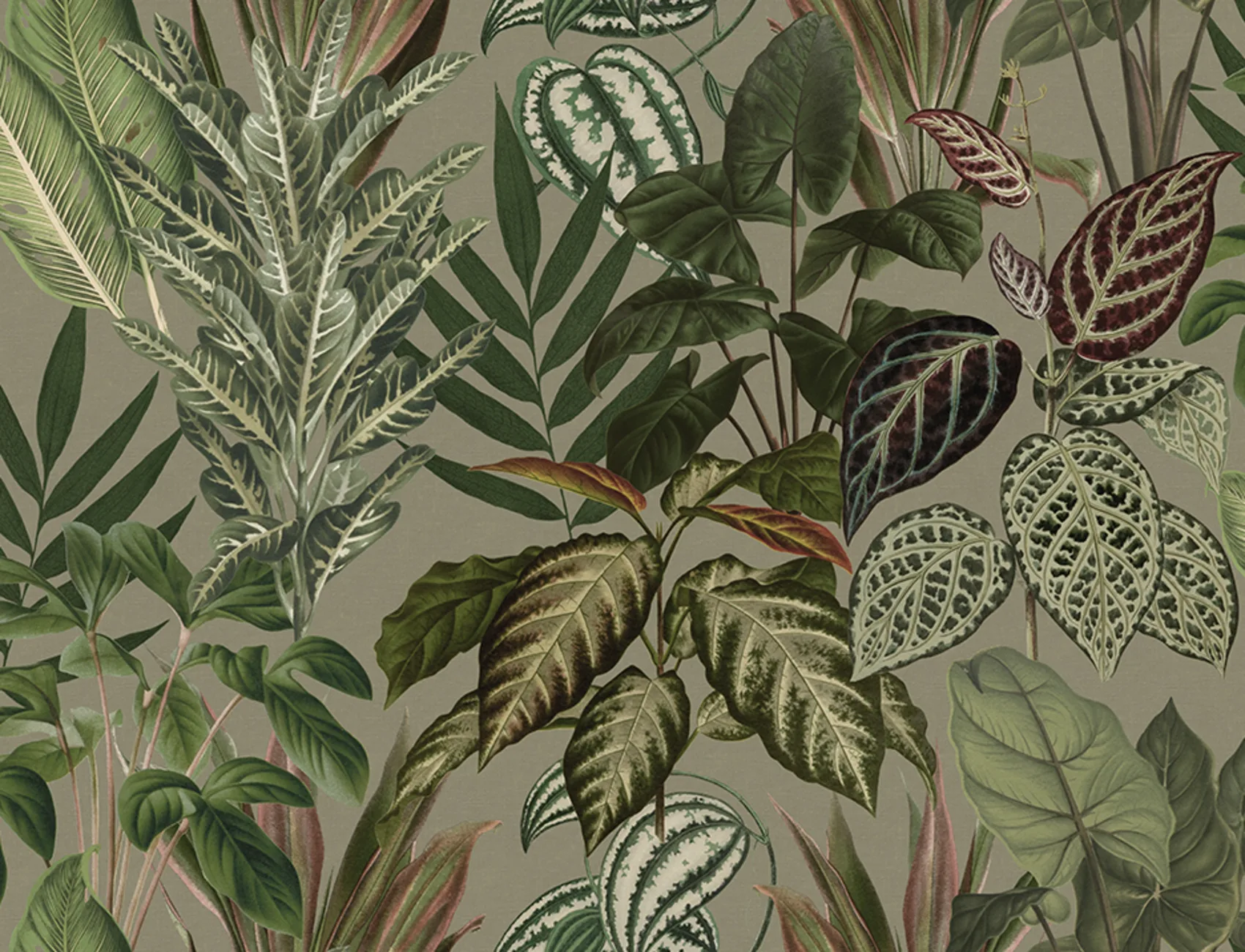Mischievous Jungle, Sand