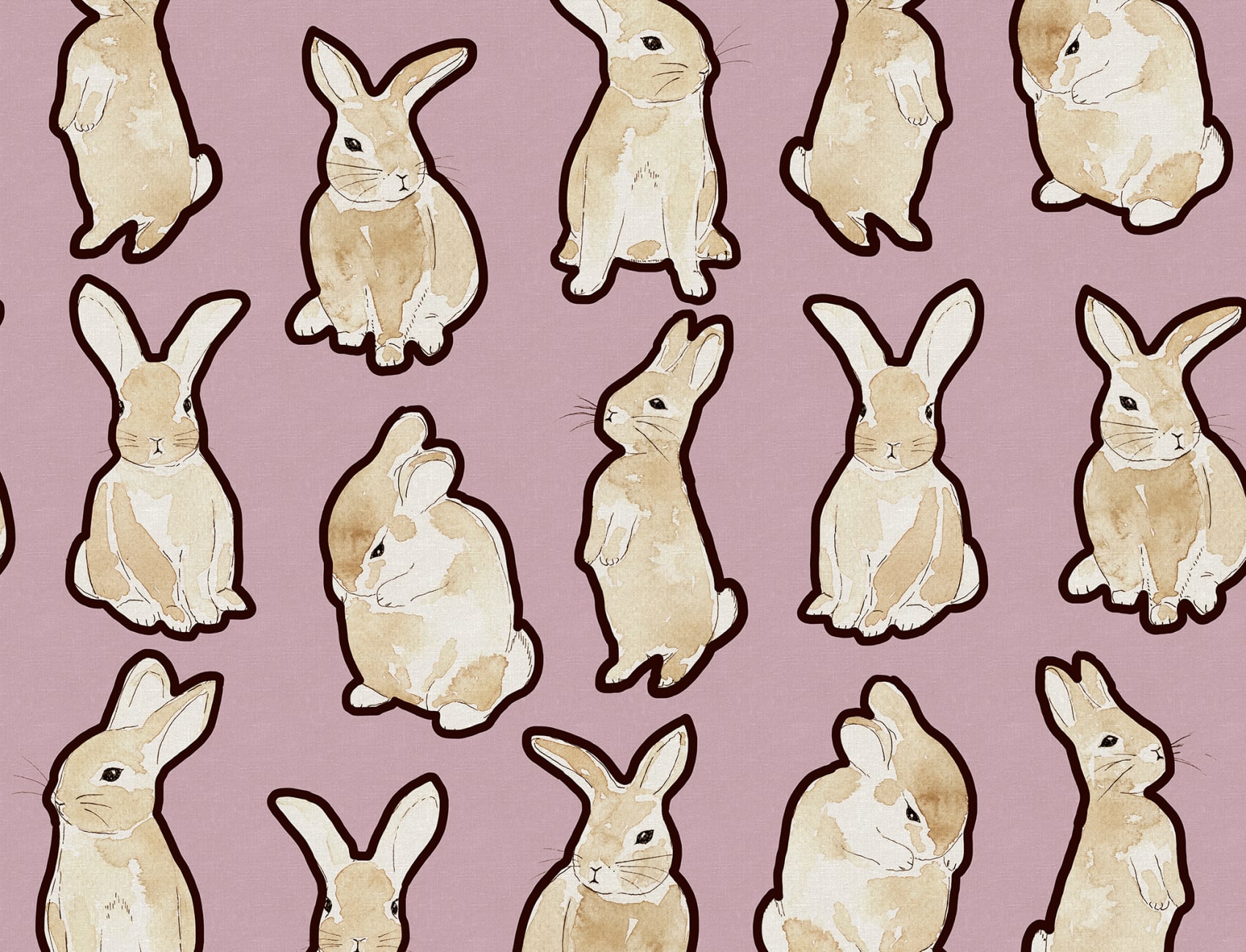 Sooo many rabbits!