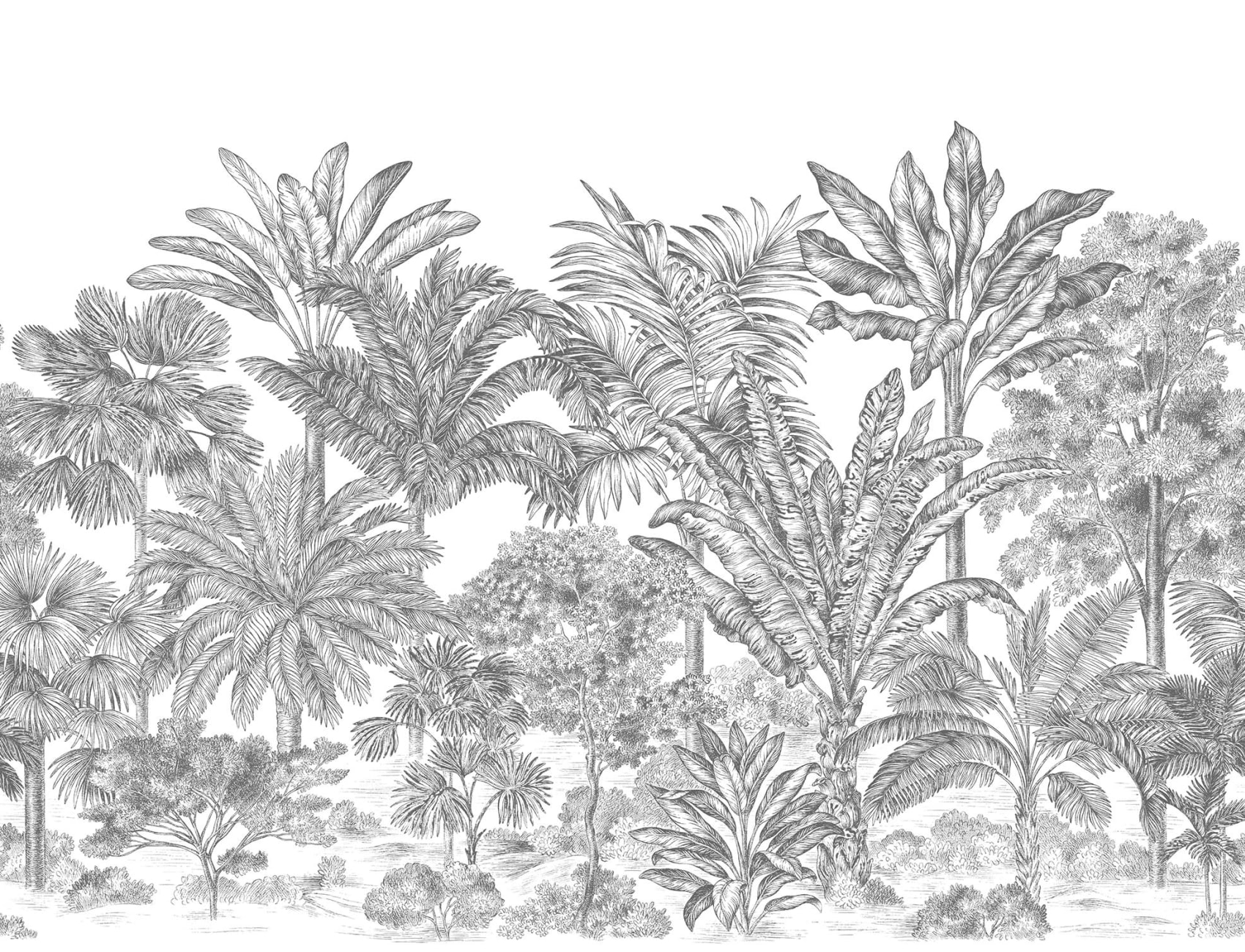 Une jungle givrée