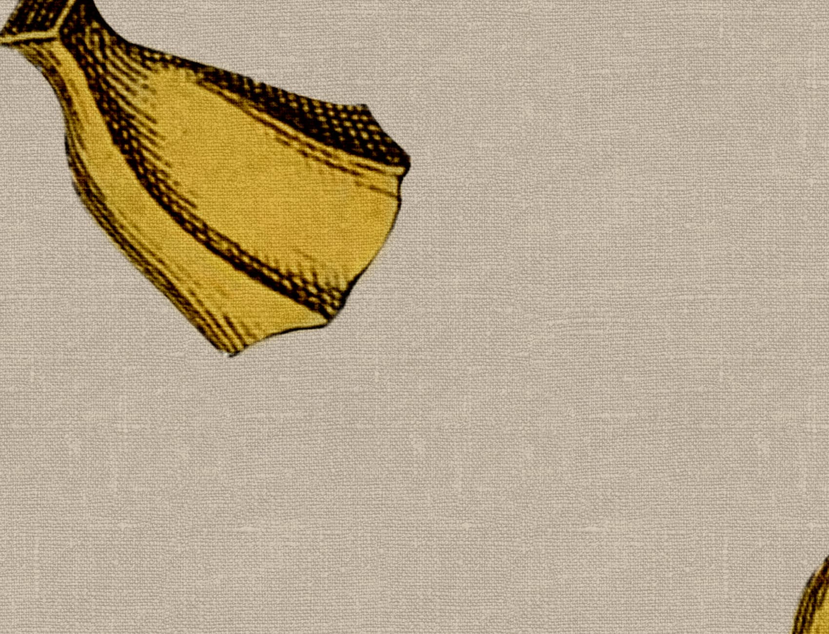 Banana Bonanza