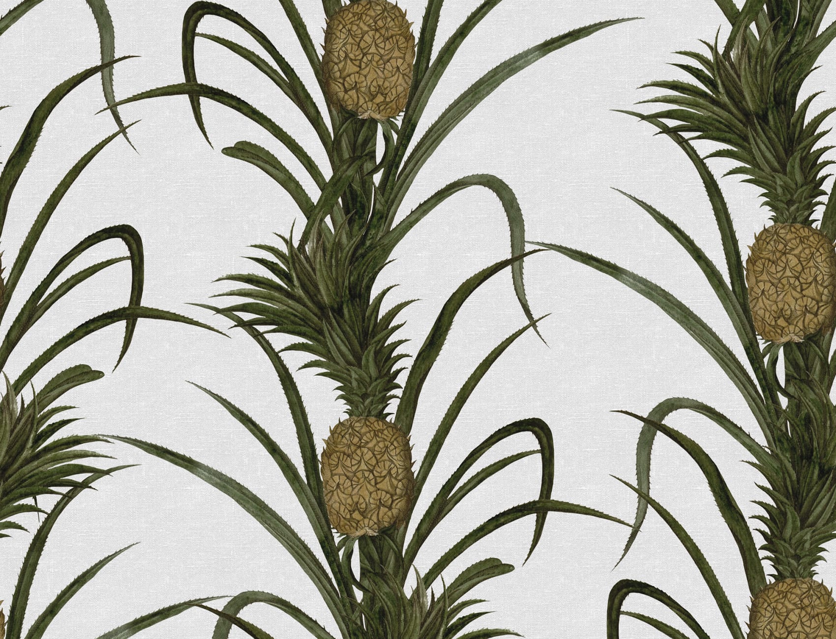Create A Tropical Haven
